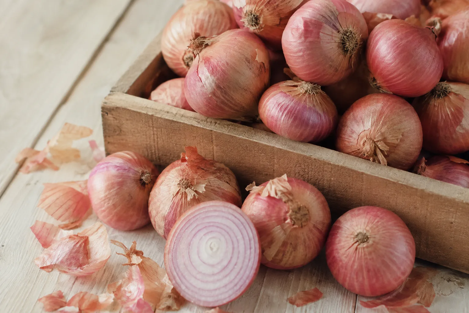Onion